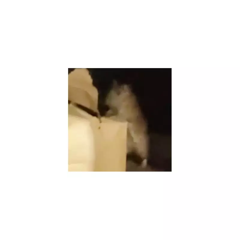 Ibis Hotel Apology: Guest Finds Blood-Stained Bed in Shocking Hygiene Scandal