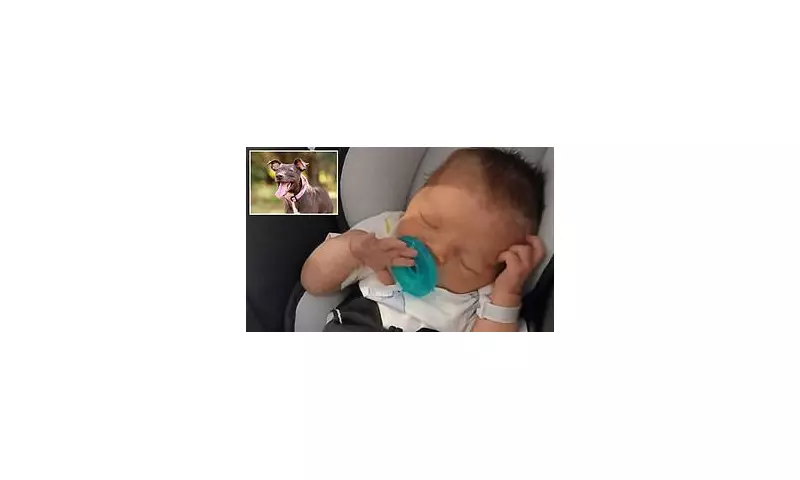 Indiana Newborn Mauled by Family Dog in Horrific Home Attack | Parents Charged