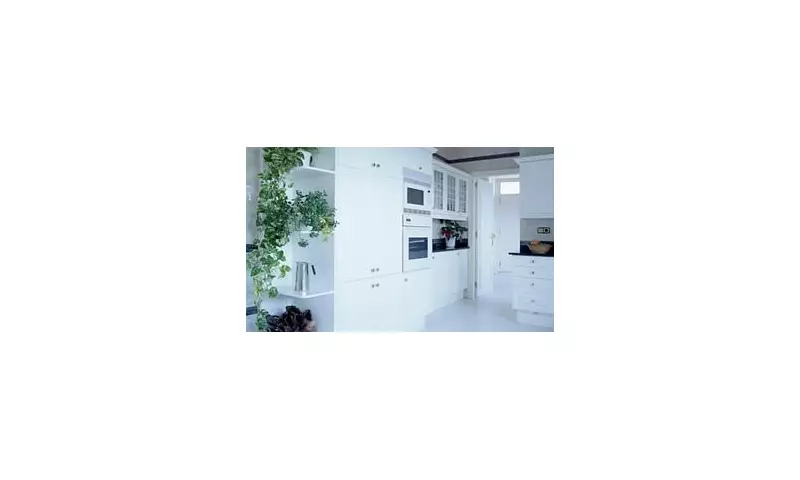 Interior Designer's Shocking Revelation: Why White Paint is the Worst Choice for Your Home