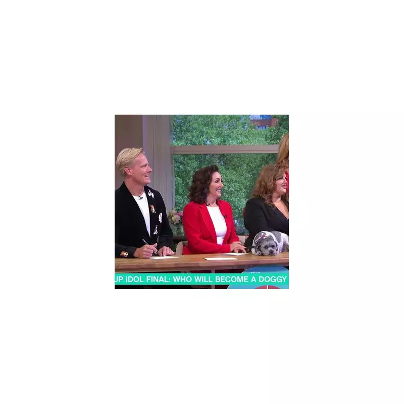 ITV's Morning Welcomes a New Four-Legged Co-Host: Meet Labrador Puppy Douglas