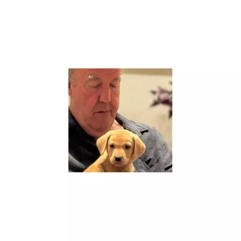 Jeremy Clarkson's New Farm Arrival: Meet The Adorable Calf Named After Top Gear Star