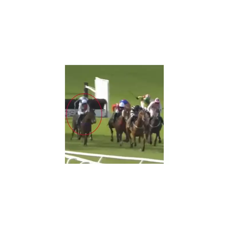 Jockey Faces BHA Inquiry After Dramatic Fall at Worcester Racecourse