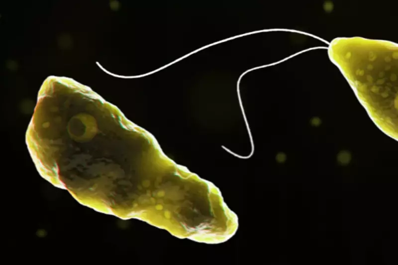 Kerala on High Alert After Rare Brain-Eating Amoeba Claims Third Victim