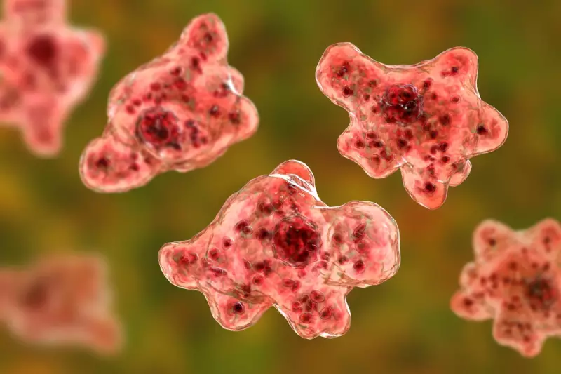 Kerala on High Alert: Deadly Brain-Eating Amoeba Claims Fifth Victim in India