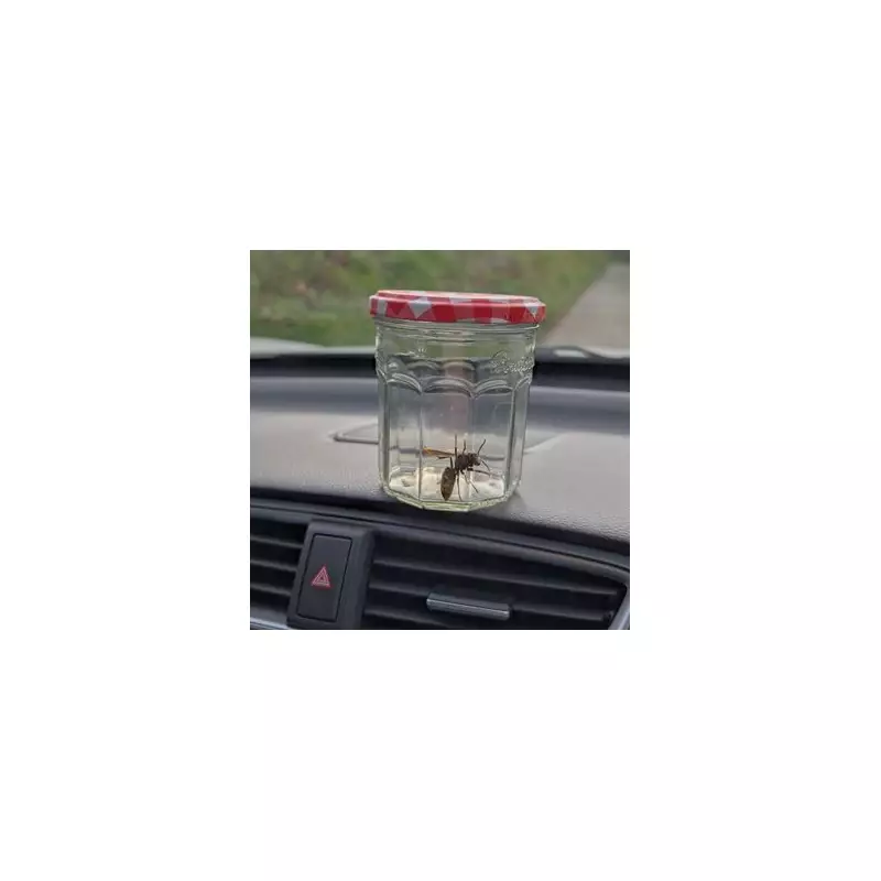 Killer Asian Hornets Invasion: UK on High Alert as Deadly Insects Spotted