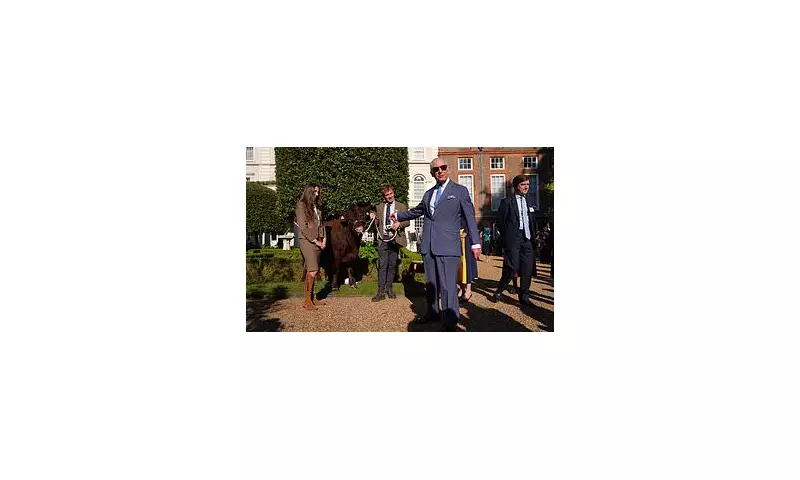 King Charles's Bovine Obsession: The Surprising Royal Habit That's Raising Eyebrows