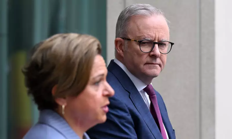 Labour Faces Internal Fury Over Plans to Curtail FOI Access in Australia