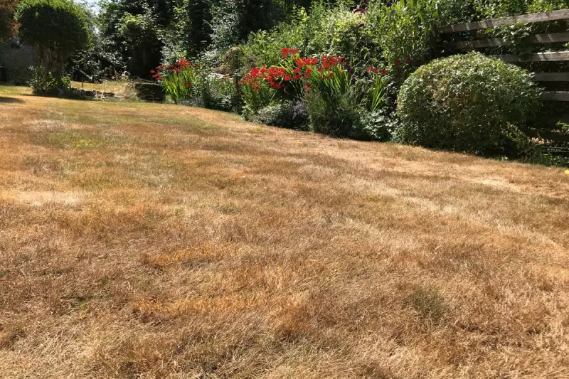 Leicester City FC Scores Big with One Water: Exclusive Deal Ditches Plastic Bottles
