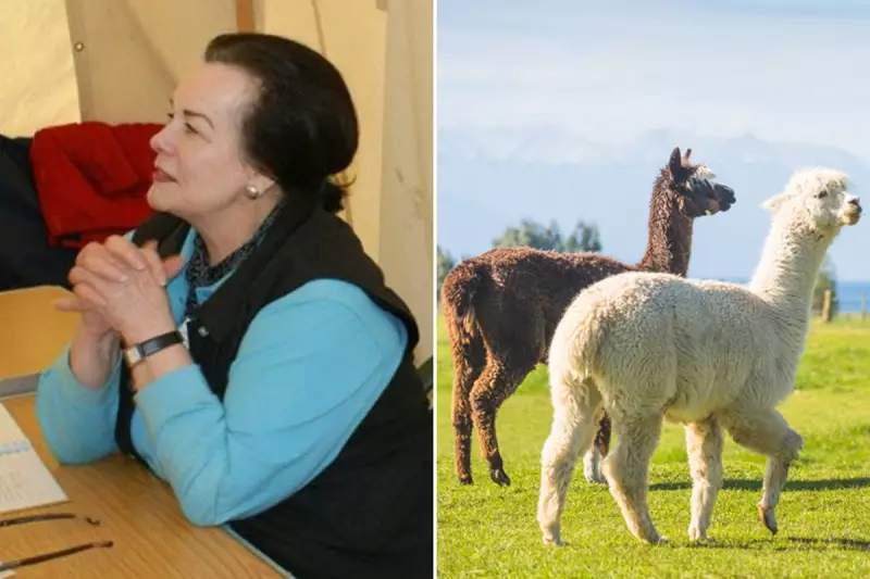 Llama Drama in Court: Charity Trustee Avoids Jail After Animal Welfare Scandal