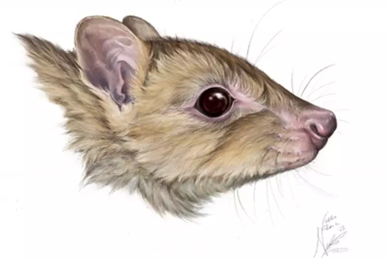 Lost Giants of the Outback: Scientists Uncover 15 New Marsupial Species in Australian Fossil Bonanza