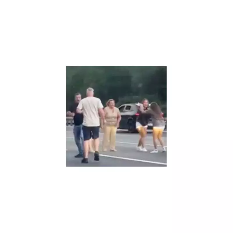 M25 Road Rage Horror: Shocking Brawl Erupts on Busy Motorway | Mirror