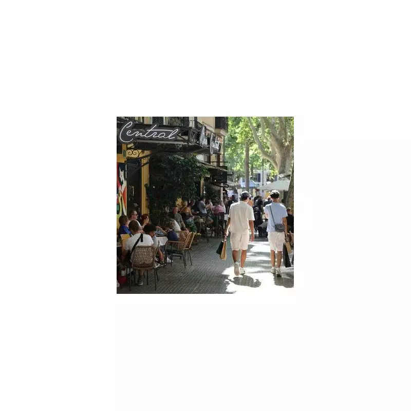 Majorca's Tourism Tax Funds Stunning Mountain Transformation You Have To See To Believe