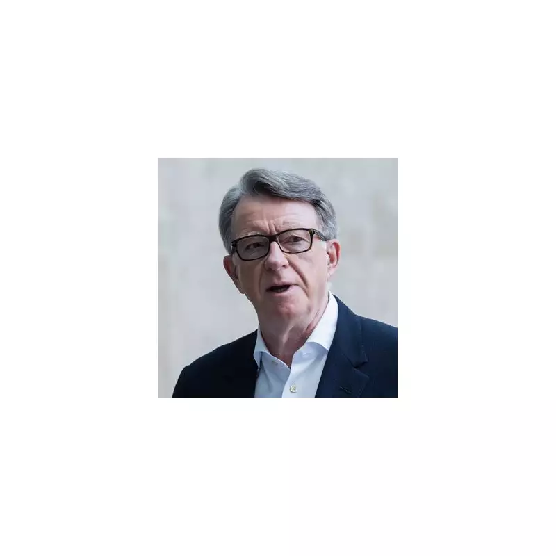 Mandelson's Secret Epstein Warning: Labour Peer Told Financier to 'Fight Early' in Bombshell Email Exchange