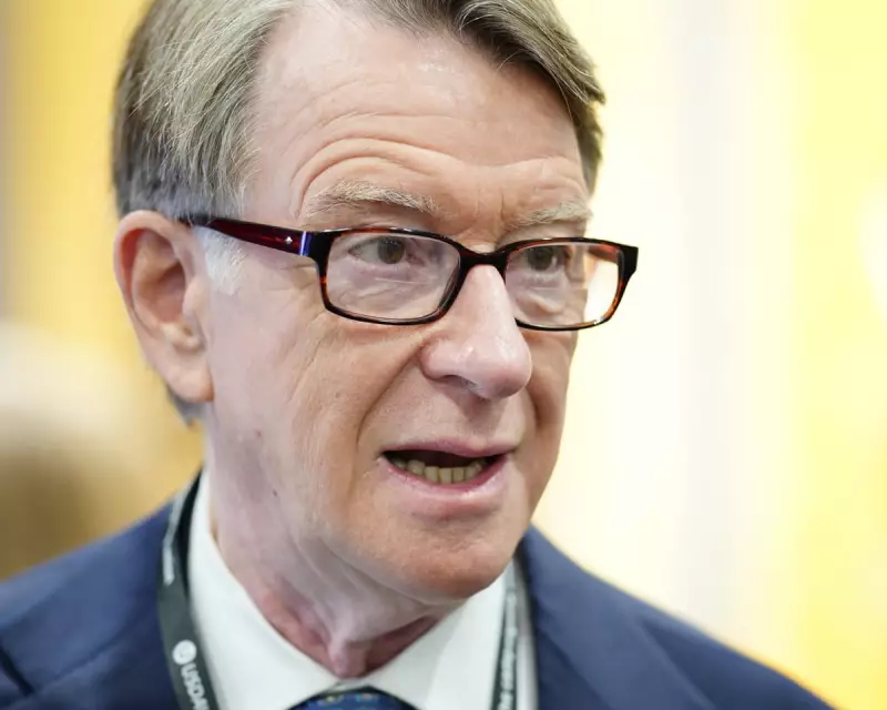 Mandelson's US Ambassador Gamble: Business Secretary Defends Controversial Appointment as 'Risk Worth Taking'