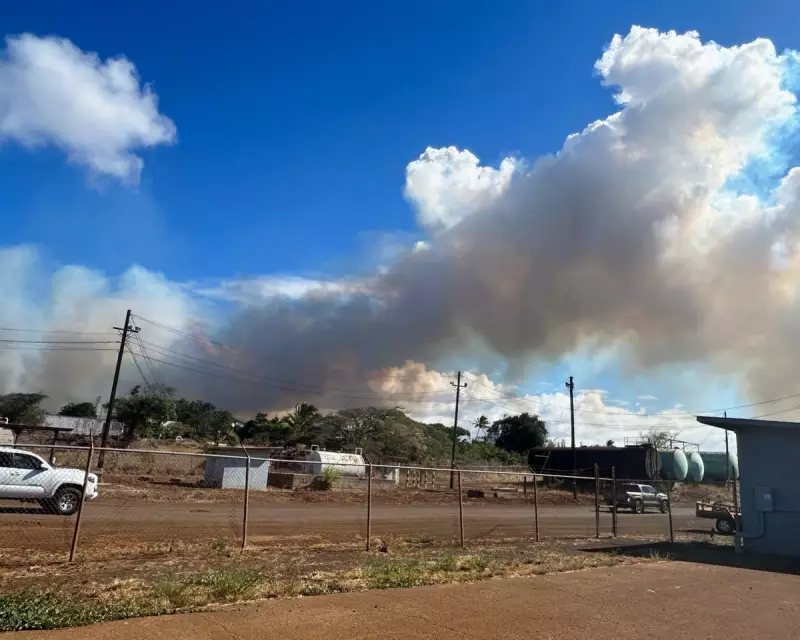 Maui on High Alert: Urgent Evacuations as Wildfires Threaten Historic Paia Town