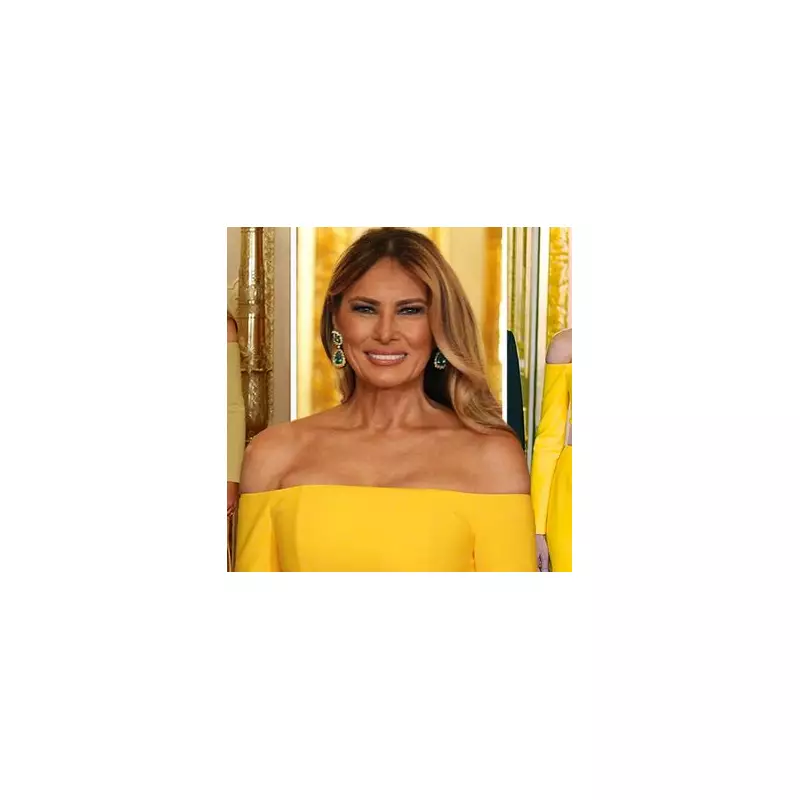 Melania Trump's Optical Illusion Dress Stuns at Mar-a-Lago Event | Mirror