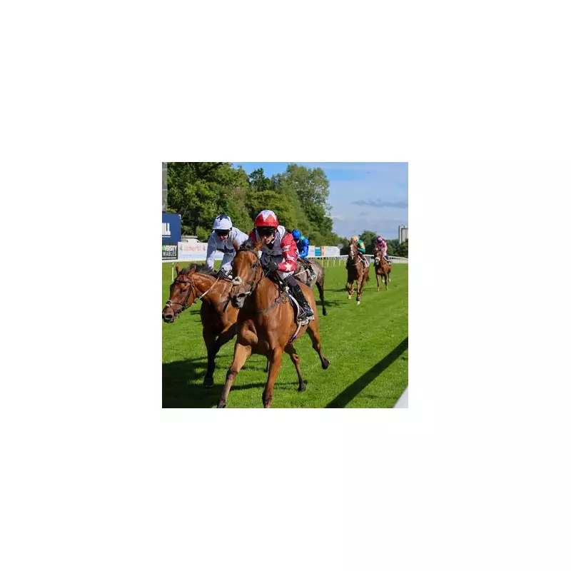 Monday's Racing Riches: Newsboy's Four Top Tips to Kickstart Your Week with a Win