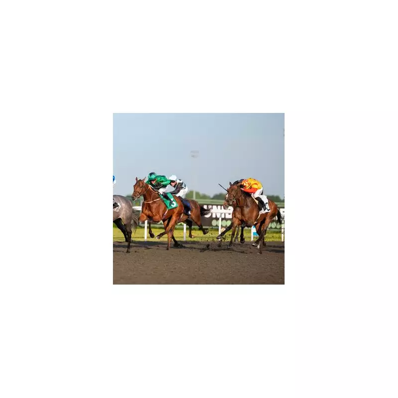 Monday's Racing Tips: Newsboy's Four Best Bets to Kickstart Your Week with a Win