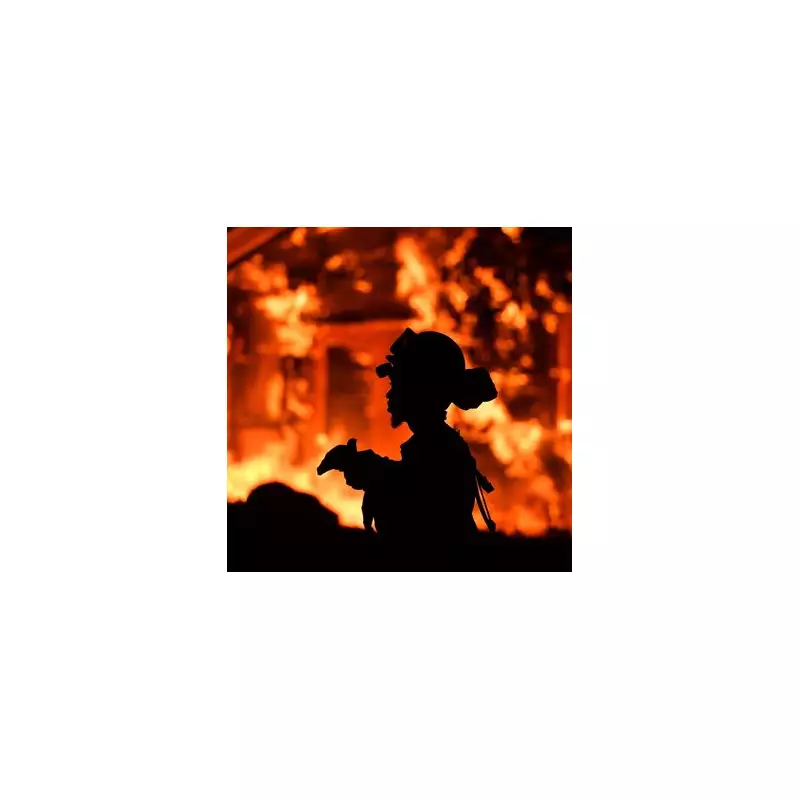 Mum's Harrowing 6 Lessons After Son, 3, Chokes to Death on a Grape - A Vital Safety Warning Every Parent Must Read