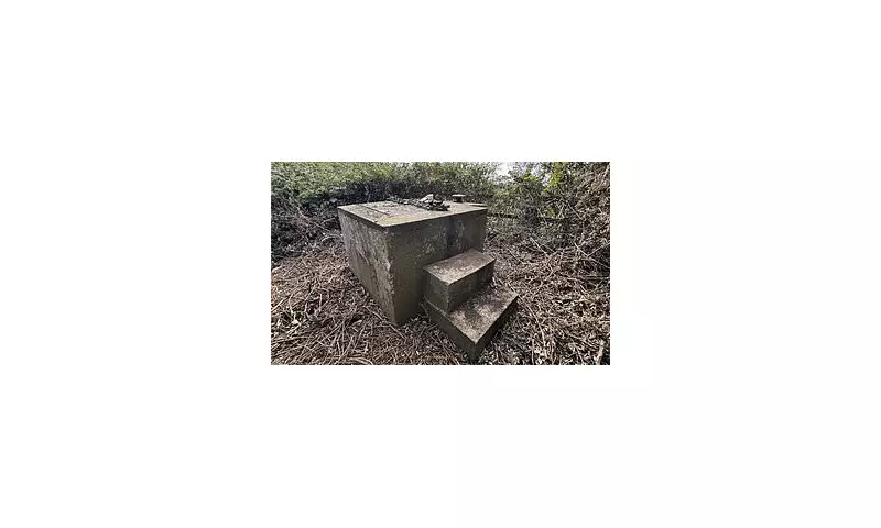 Mystery of the Concrete Block in the Woods: Bizarre 'Remote Land' Plot for Sale in Scottish Highlands