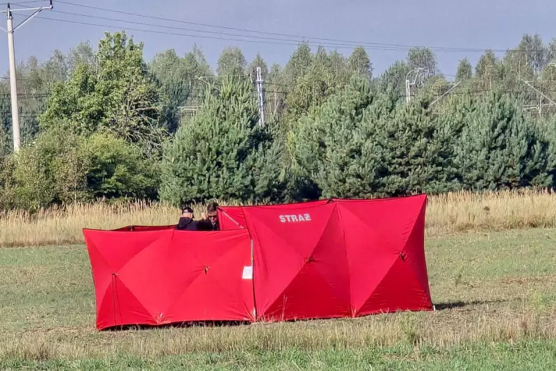 NATO's Eastern Flank on High Alert as Russian Drone Debris Hits Romanian Territory