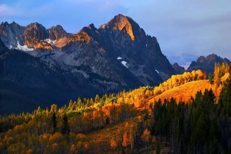 Nature's Grand Finale: Your Ultimate 2024 Guide to Spectacular Autumn Leaf Peeping in the USA