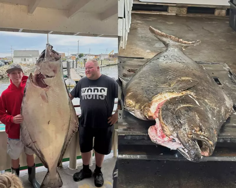 New Hampshire Fisherman Lands Record-Breaking Halibut in Historic Catch