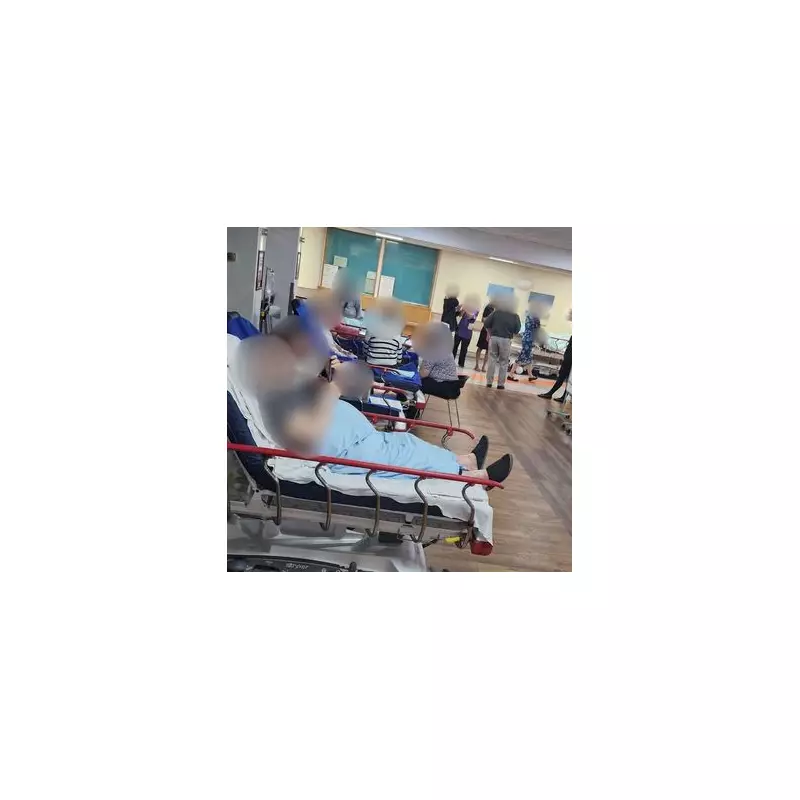 NHS in Crisis: Hospital Cafe Transformed into Overflow Ward Amid Bed Shortage