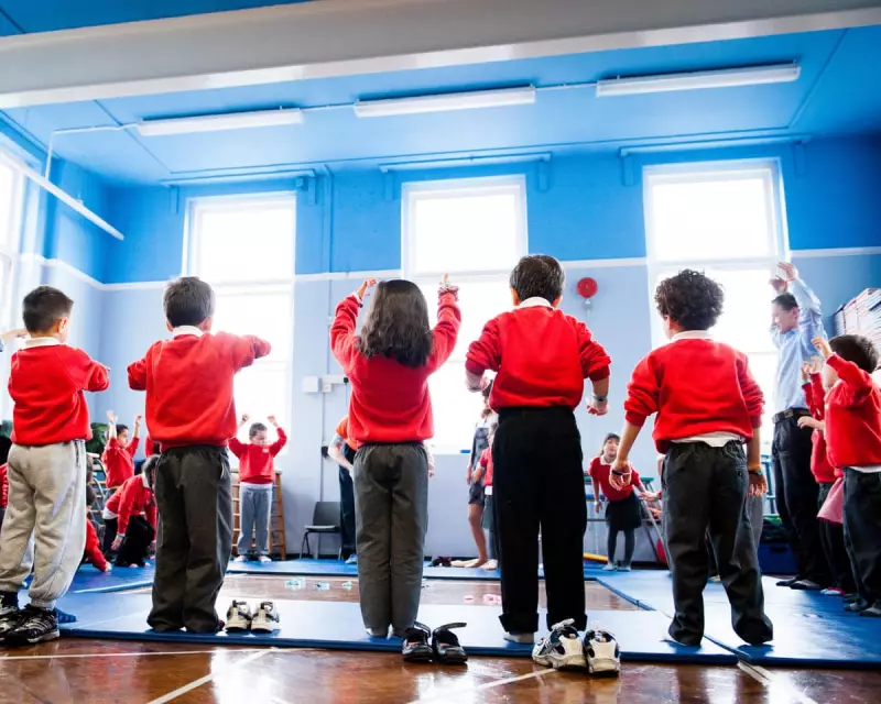 NHS School Dentist Programme Praised as 'Resounding Success' in New Report