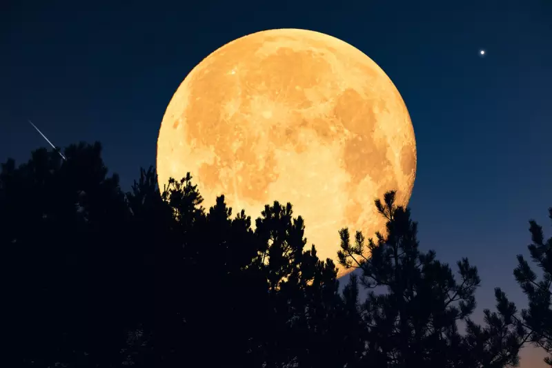 October 2025's Harvest Supermoon: Your Complete Stargazing Guide to the Year's Most Spectacular Full Moon