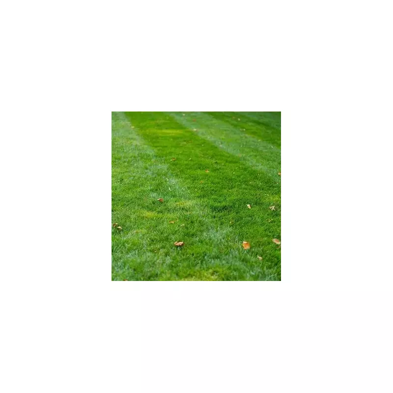 Only Those With Hawk-Eye Vision Can Spot The Hidden Owl In This Mind-Bending Puzzle