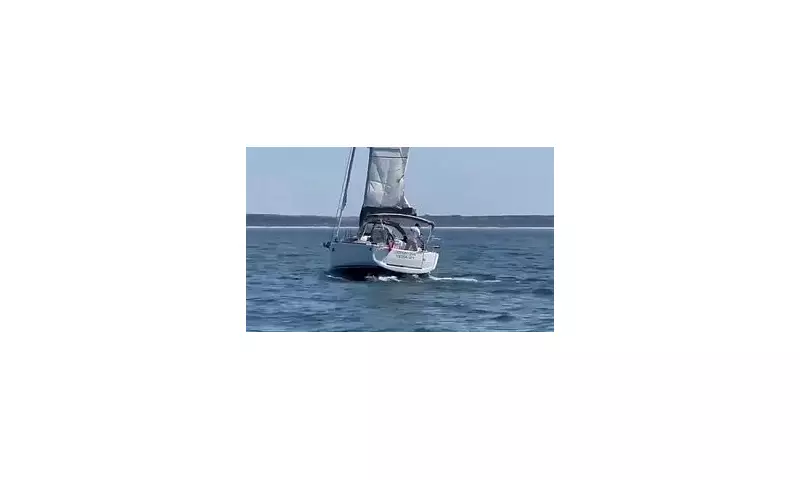 Orca Attack: Moment Pod of Killer Whales Sinks Tourist Boat in Terrifying Strait Encounter