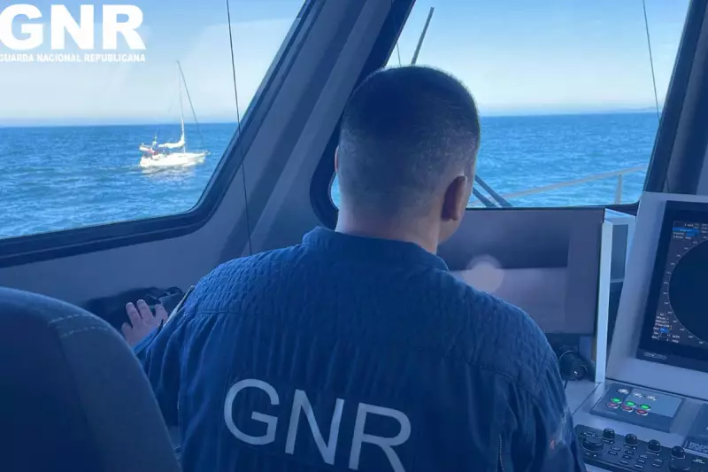 Orcas Attack: Pod of Killer Whales Rams Yacht Off Portuguese Coast in Dramatic Encounter