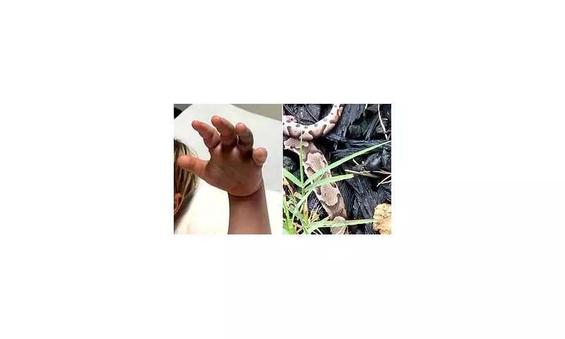 Outrage as Nursery Staff 'Fail to Call 999' After Four-Year-Old Boy Bitten by Snake in UK Daycare