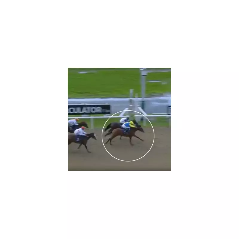 Paddy Power's 'Deluded' Wolverhampton Stunt: Racing Fans Fume as Horse Named After Bradley Walsh Runs Last