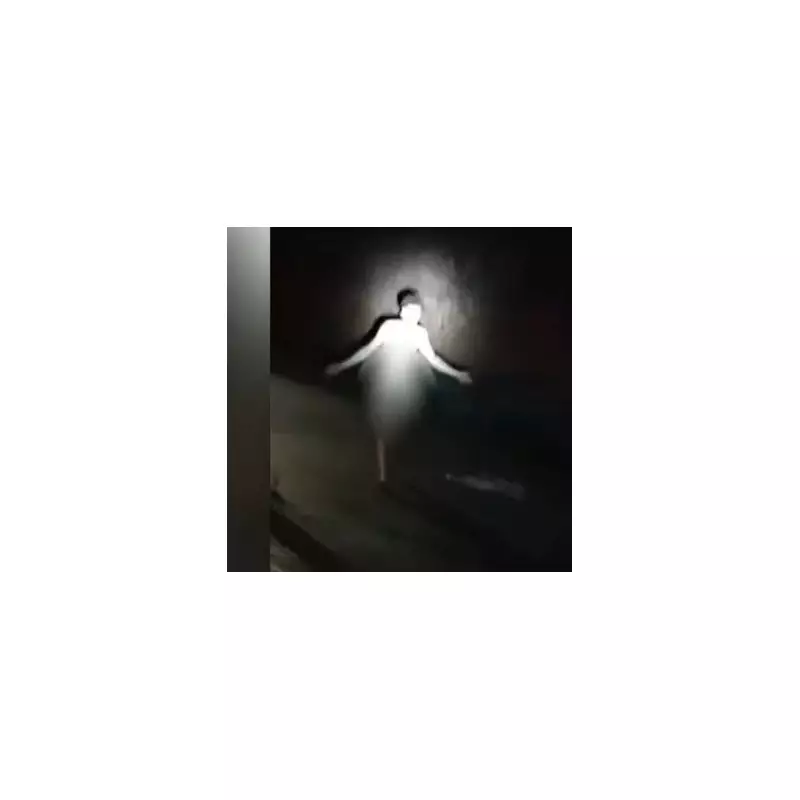 Police Intervene as Man Sparks Panic Walking Down M6 Motorway Near Birmingham