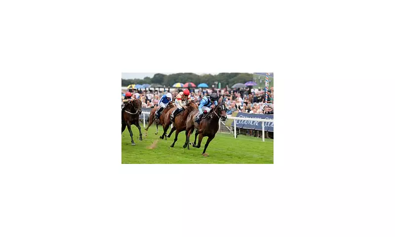 Racing on the Brink: Inside the Jockeys' High-Stakes Strike Over Safety and Pay