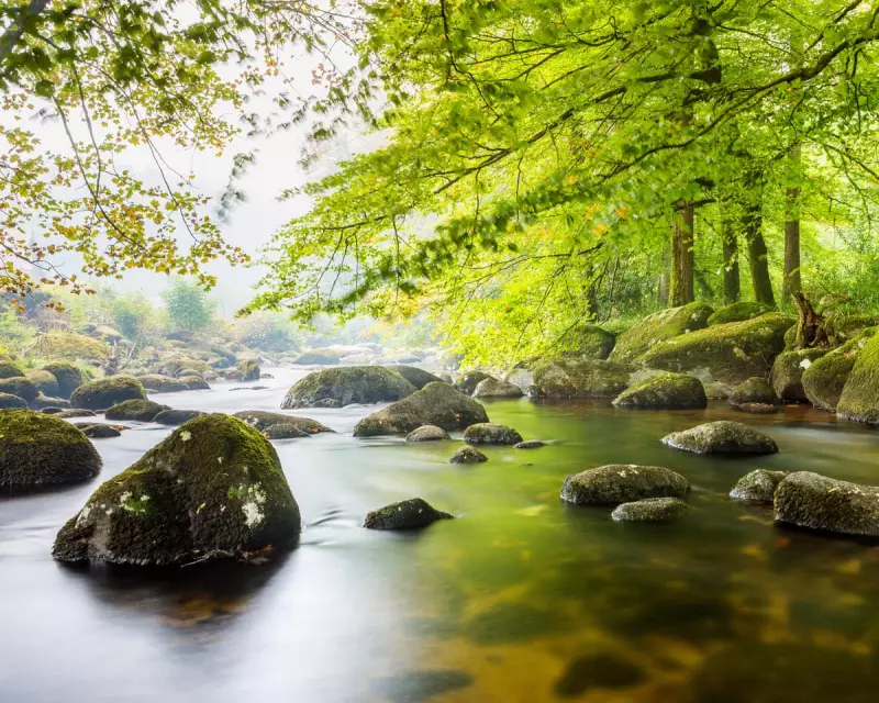 Raw Sewage Scandal: England & Wales' National Parks Polluted by 6,000 Hours of Spills