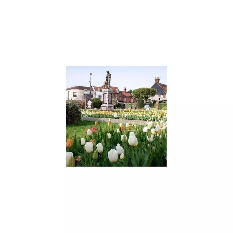 Retirement Paradise Found: The Top 20 UK Locations for Your Golden Years Revealed