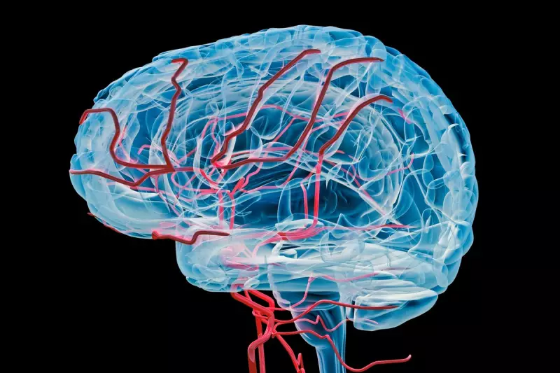 Revolutionary 'Brain Mileage' Clock Could Predict Alzheimer's Years Before Symptoms, Cambridge Study Reveals