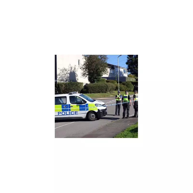 Rhydyfelin Murder Probe: Man, 21, Arrested After Woman Found Dead in Welsh Village