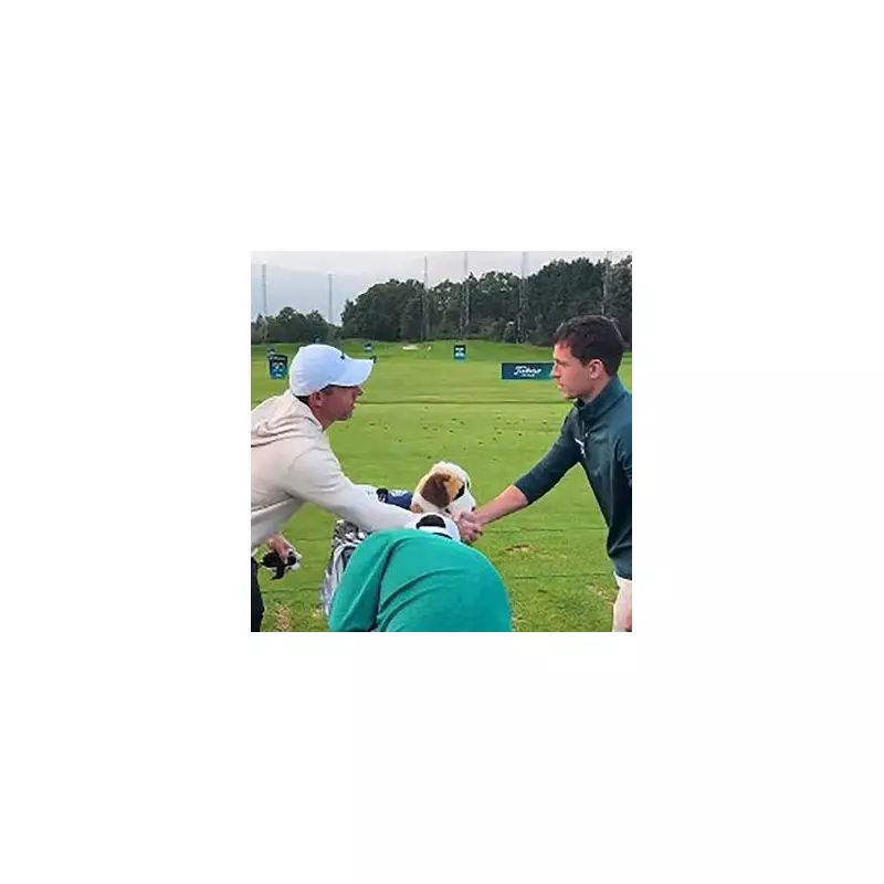 Rory McIlroy's Ryder Cup Revelation: Golf Star Opens Up on 'Toxic' Environment and Team Europe's Future