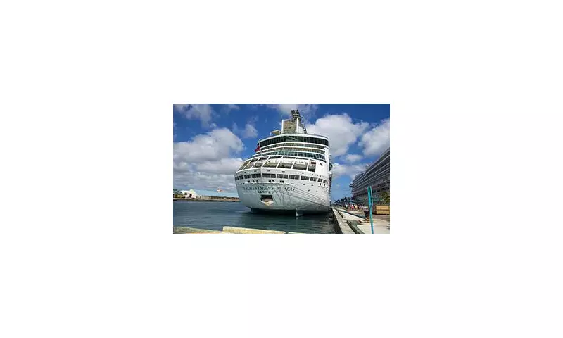 Royal Caribbean's Dramatic High-Seas Rescue: Cruise Ship Saves Stranded Mariners in Caribbean Waters