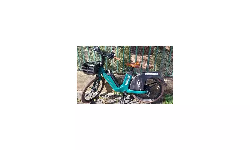 Safety Alert: Low Lime Bike Saddles Pose Serious Injury Risk, Experts Warn