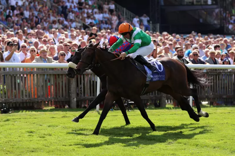 Saturday Racing Tips: Top Picks & Best Bets for Ayr, Newbury & Newmarket | 20/9/25