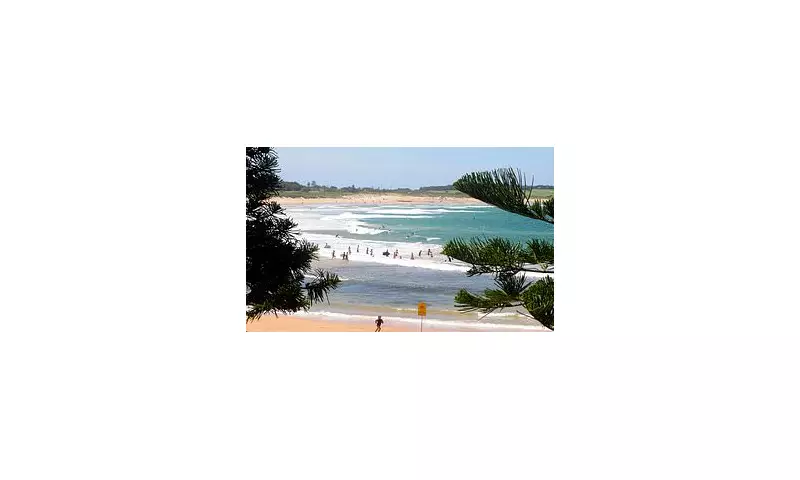 Shark Attack Tragedy: Swimmer Dies After Being Mauled Off Dee Why Beach, Sydney