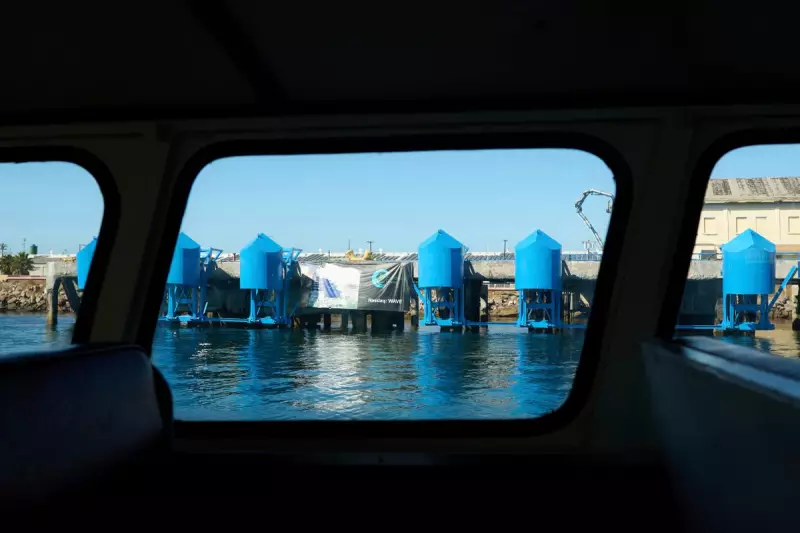 Shell Abruptly Terminates Major Hydrogen Refuelling Project for US Ports