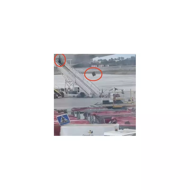 Shocking Airport Ramp Rage: Baggage Handler Filmed Violently Throwing Luggage from Hold