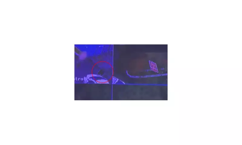 Shocking CCTV: Pensioner Deliberately Rams Car Into Elderly Neighbour in Quiet UK Street | Daily Mail