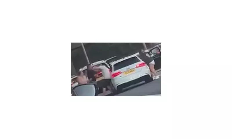 Shocking Motorway Brawl: Woman Dragged From Car By Hair In Six-Person Road Rage Battle | Daily Mail